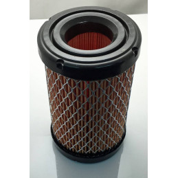 Filtre a air Briggs & Stratton 594201