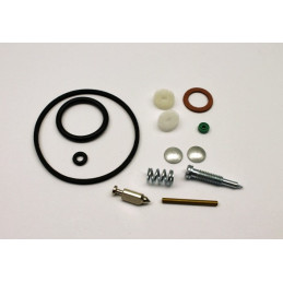 Kit de réparation carburateur Briggs & Stratton 494349, 492072, 398158