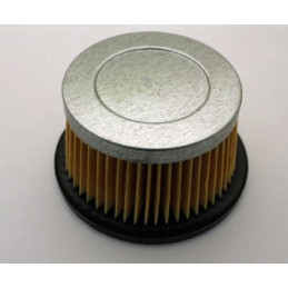 Luftfilter TECUMSEH 31700, 30727