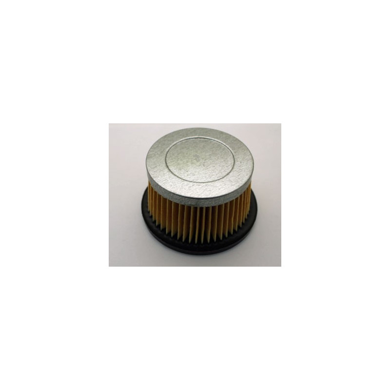 Luftfilter TECUMSEH 31700, 30727