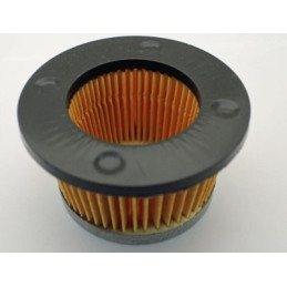 Airfilter TECUMSEH 31700, 30727