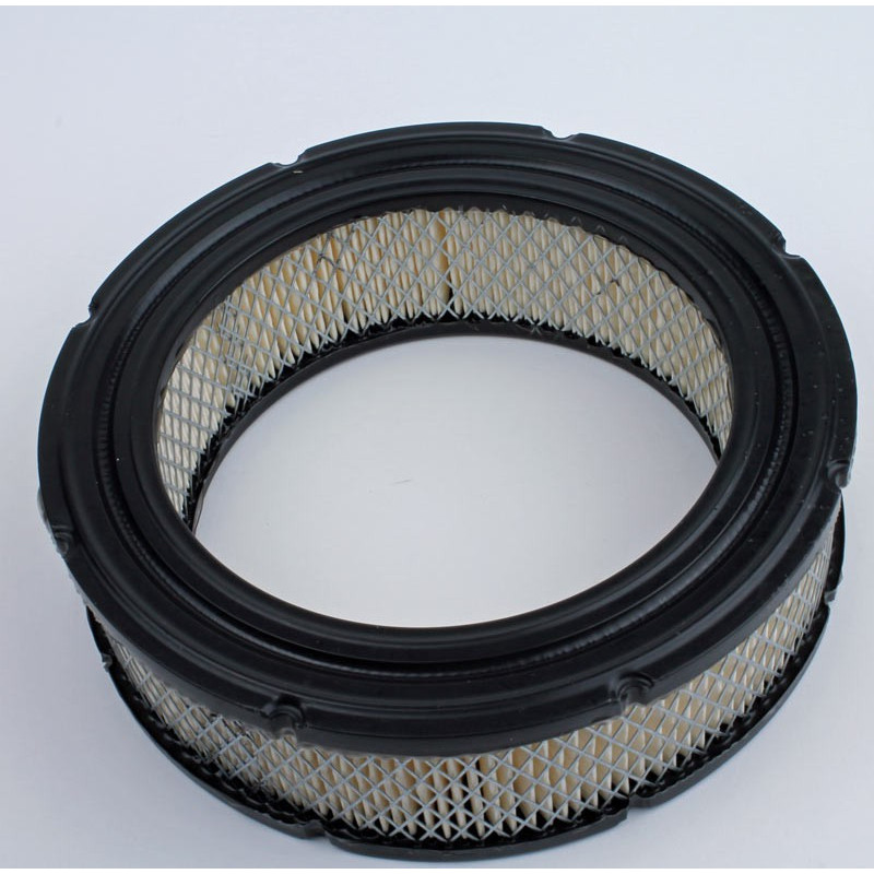 Luchtfilter BRIGGS & STRATTON 4232, 692519, 652519, 806232 Luchtfilter BRIGGS & STRATTON 4232, 692519, 652519, 806232