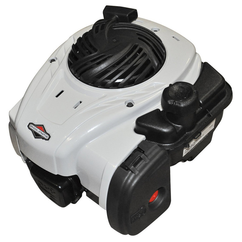 Motor Briggs and Stratton 500 E series