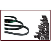 Carburator & parts